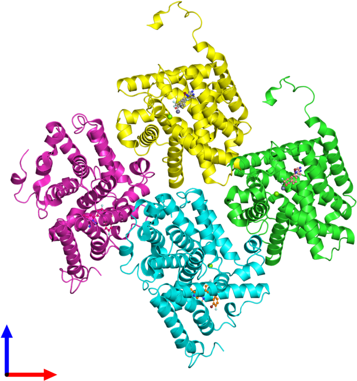 Pdb 5tzz Coloured By Chain And Viewed From The Front Clipart (800x800), Png Download