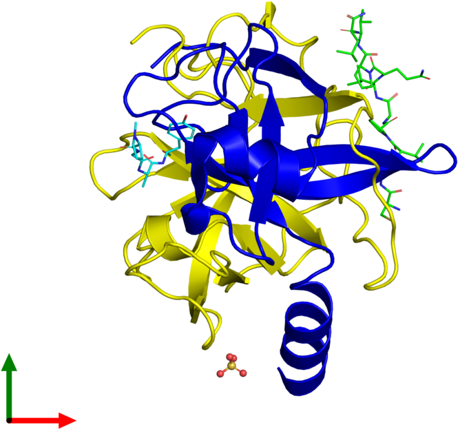 <div Class='caption-body'><ul Class ='image Legend - Graphic Design Clipart (800x800), Png Download