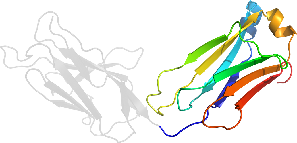 D1cr9l2 In Context Of Chain - Illustration Clipart (1034x500), Png Download