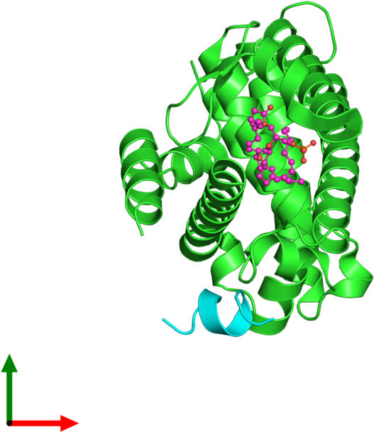 Protein Data Bank Clipart (800x800), Png Download