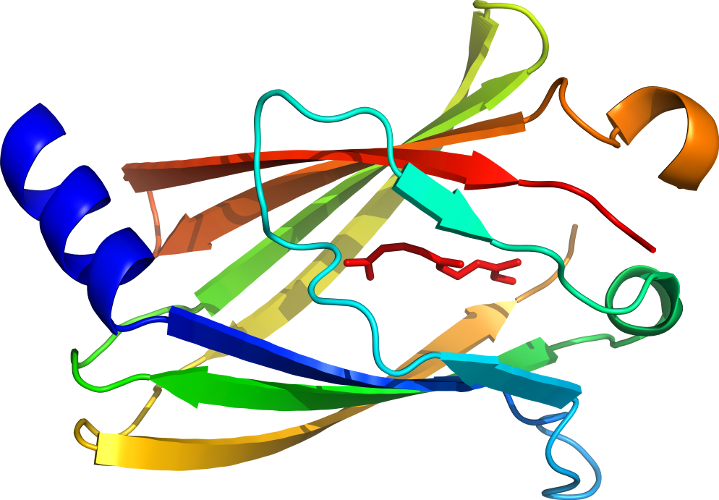 D1lsha1 In Context Of Chain Clipart (719x500), Png Download