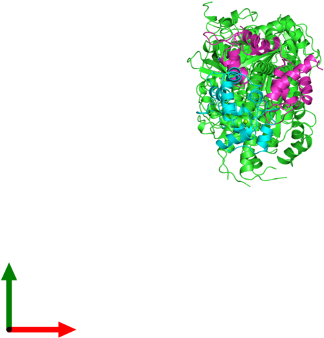 Illustration Clipart (800x800), Png Download