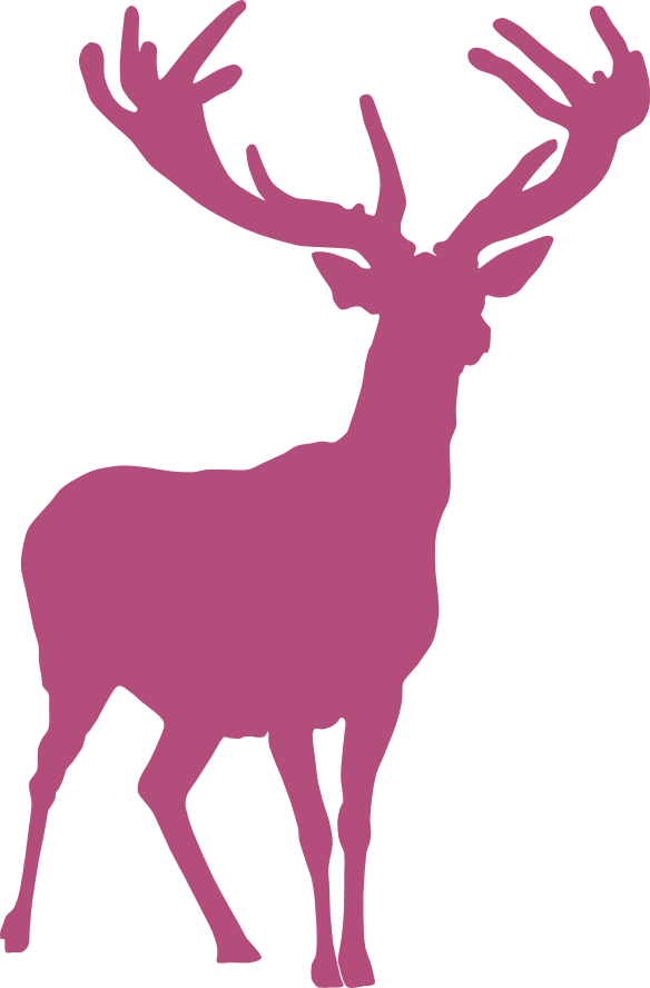 The Hammock Is Available For Anyone Who Has Already - Elk Clipart (584x888), Png Download