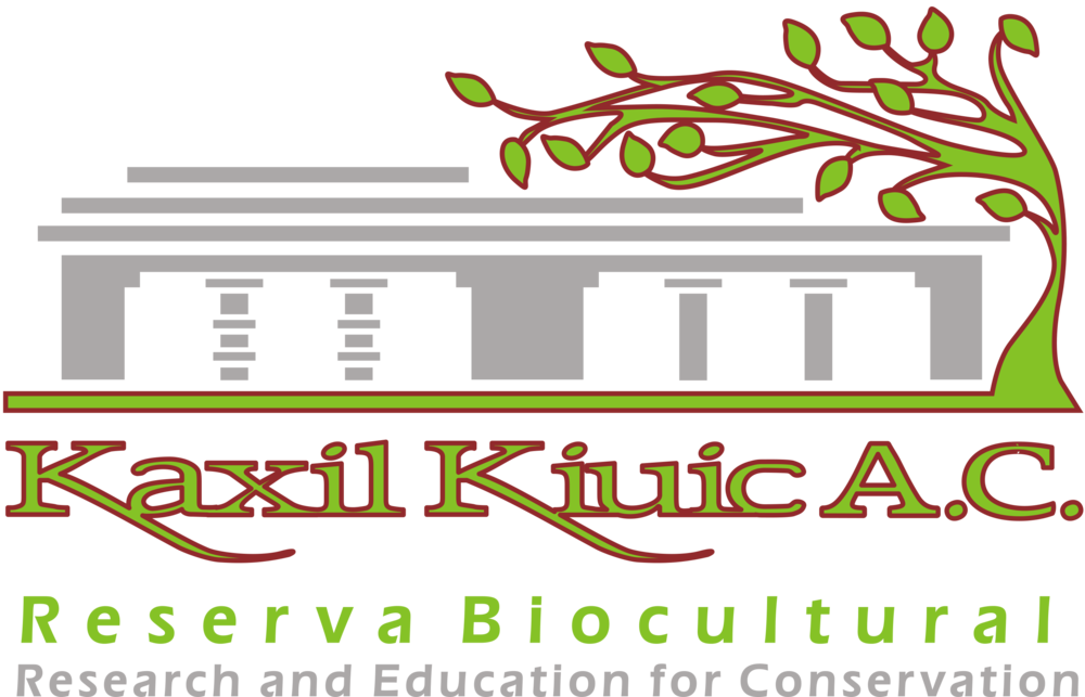 Kiuic Logo For Web Clipart FREE PNG