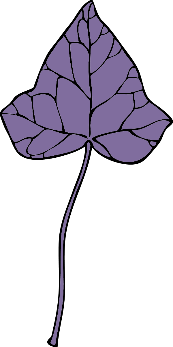 Large Ivy Leaf 7 0 7328 - Clip Art - Png Download (600x1206), Png Download