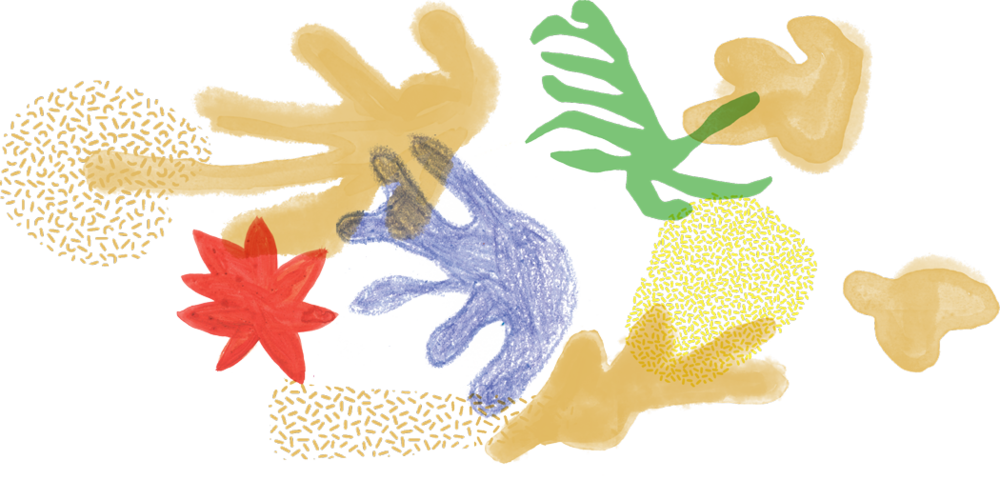 Recess Flora 01 - Portable Network Graphics Clipart (1000x480), Png Download