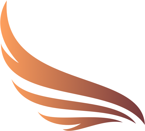 Wings - Portable Network Graphics Clipart (620x560), Png Download