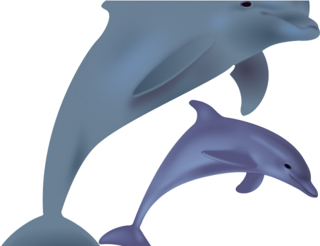 Dolphin Clipart Sunset - Dolphin Christmas Clipart - Png Download (640x480), Png Download