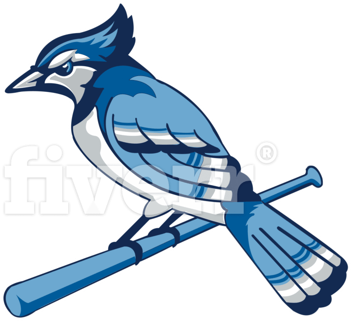 Blue Jay Clipart (1200x1022), Png Download