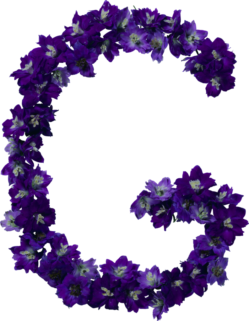 Letter Clipart (793x1024), Png Download