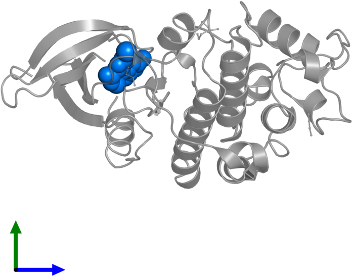 Scorpion Clipart (800x800), Png Download