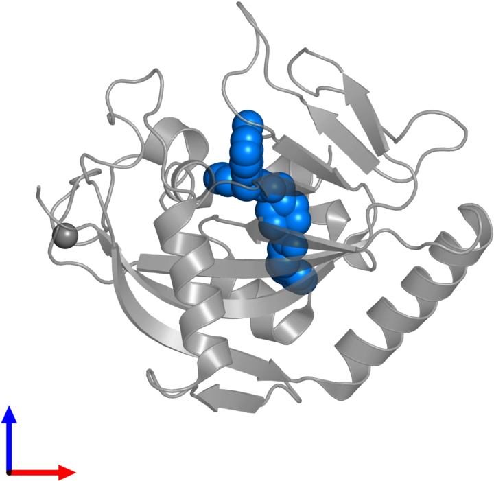 <div Class='caption-body'>pdb Entry 4tos Contains 1 - Scorpion Clipart (800x800), Png Download