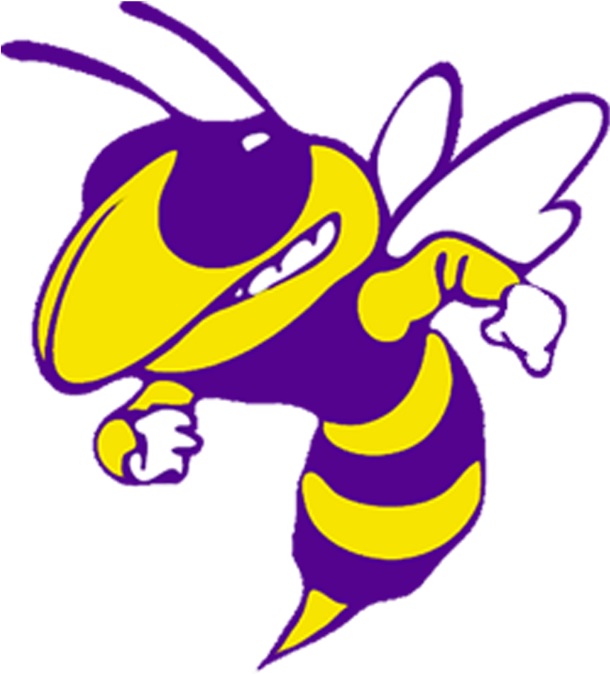 More From Main Art Go To The Main Art Section - Ithaca Yellow Jackets Clipart (1024x1024), Png Download