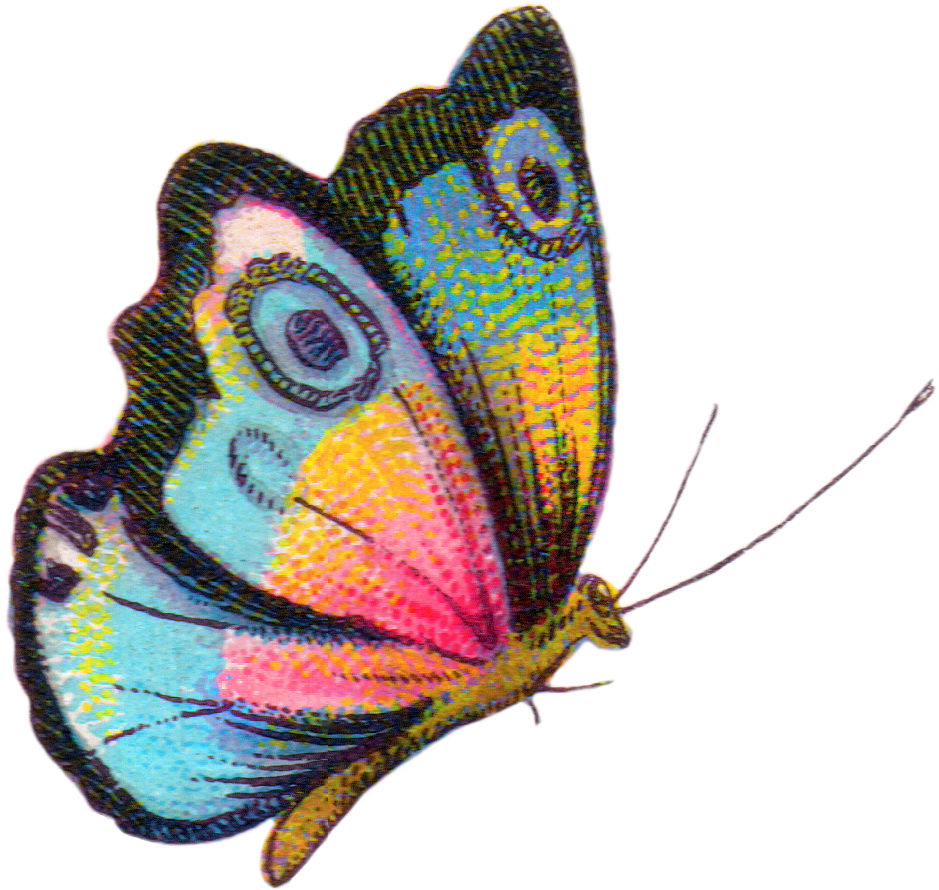 Borboletas & Joaninhas E Etc - Free Printable Colorful Butterfly Pdf Clipart (1005x943), Png Download