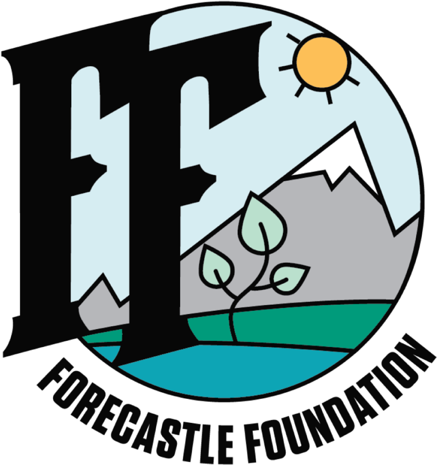 Forecastle Foundation No Tagline - Portable Network Graphics Clipart (1000x1000), Png Download