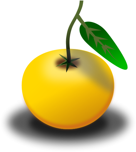 Free Orange Laranja - Custom Orange Shower Curtain Clipart (566x800), Png Download