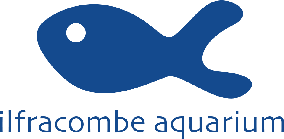The Ilfracombe Aquarium Clipart (940x462), Png Download