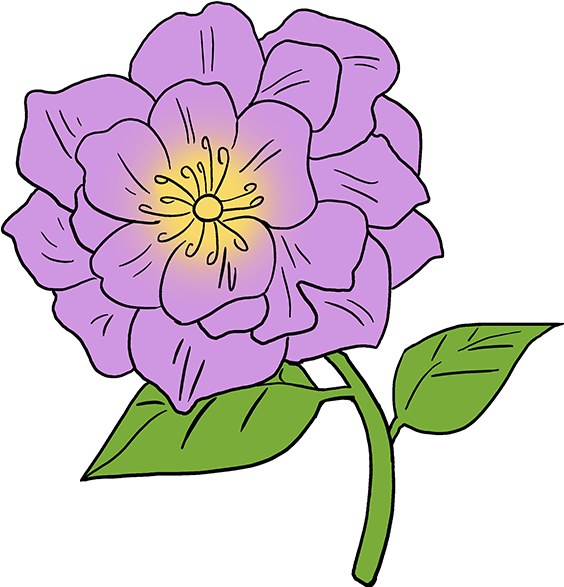 How To Draw Peony - Peony Flower Drawing Easy Clipart (680x678), Png Download