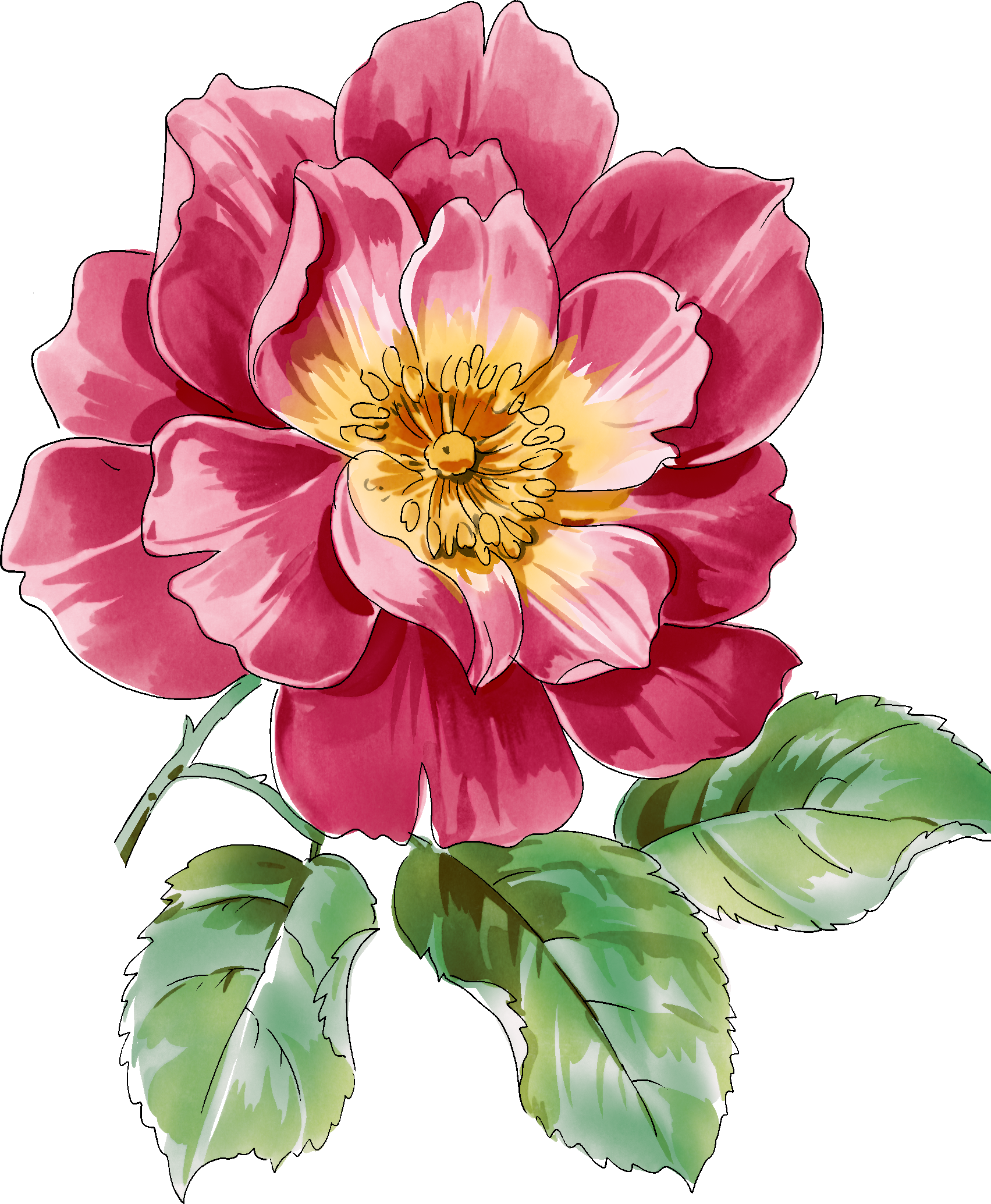 Clipart Royalty Free Library Pion Png Pinterest Decoupage - Flowers Art Water Color Png Transparent Png (1703x2069), Png Download
