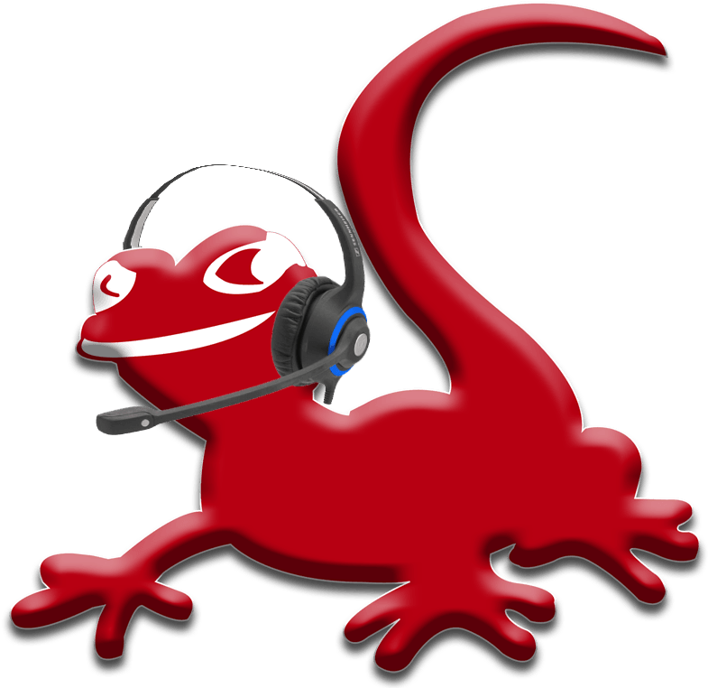 Join The Team @ Go With The Gecko - Go With The Gecko - Metro - Queanbeyan Clipart (800x799), Png Download