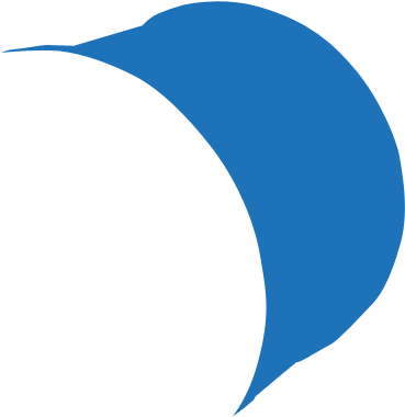 Shell - Graphic Design Clipart (556x563), Png Download