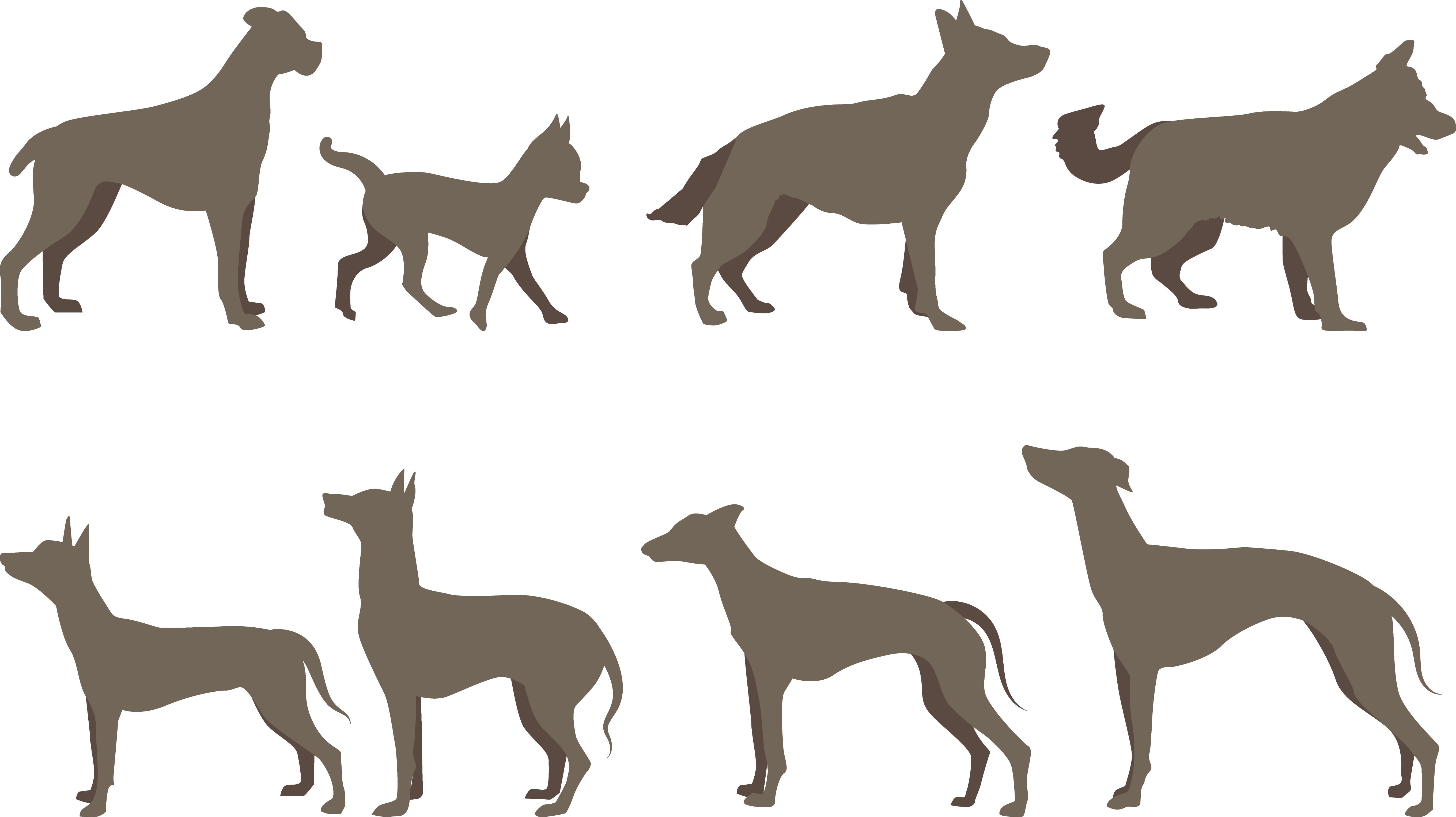 Dog Breed Silhouette - Brown German Shepherd Dog Clipart (5439x3050), Png Download