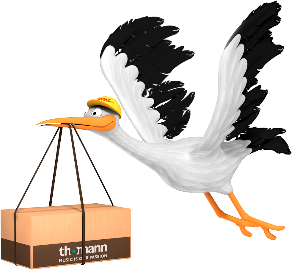 White Pelican Clipart (1000x1000), Png Download