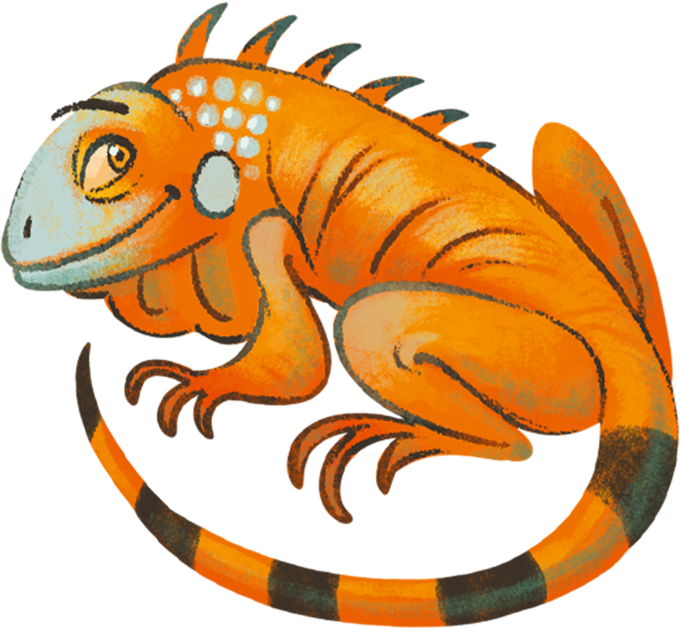 Iguana Clipart Orange - Iguana - Png Download (1000x1000), Png Download