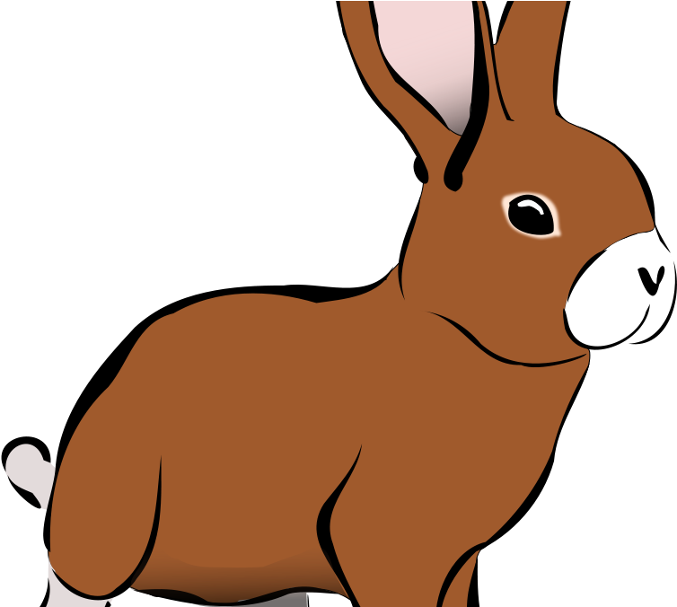 Revising Grammar Verb Forms - Best Gift - Rabbit5 Hoodie/t-shirt/mug Black/navy/pink/white Clipart (800x675), Png Download