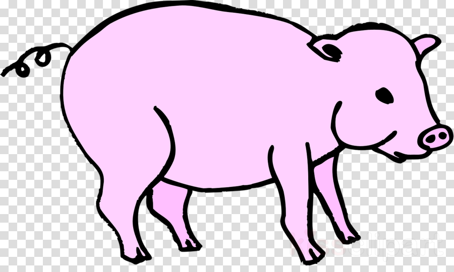 Picsart Hairstyle Png Clipart Picsart Photo Studio - การ์ตูน ปลาวาฬ Png Transparent Png (900x540), Png Download