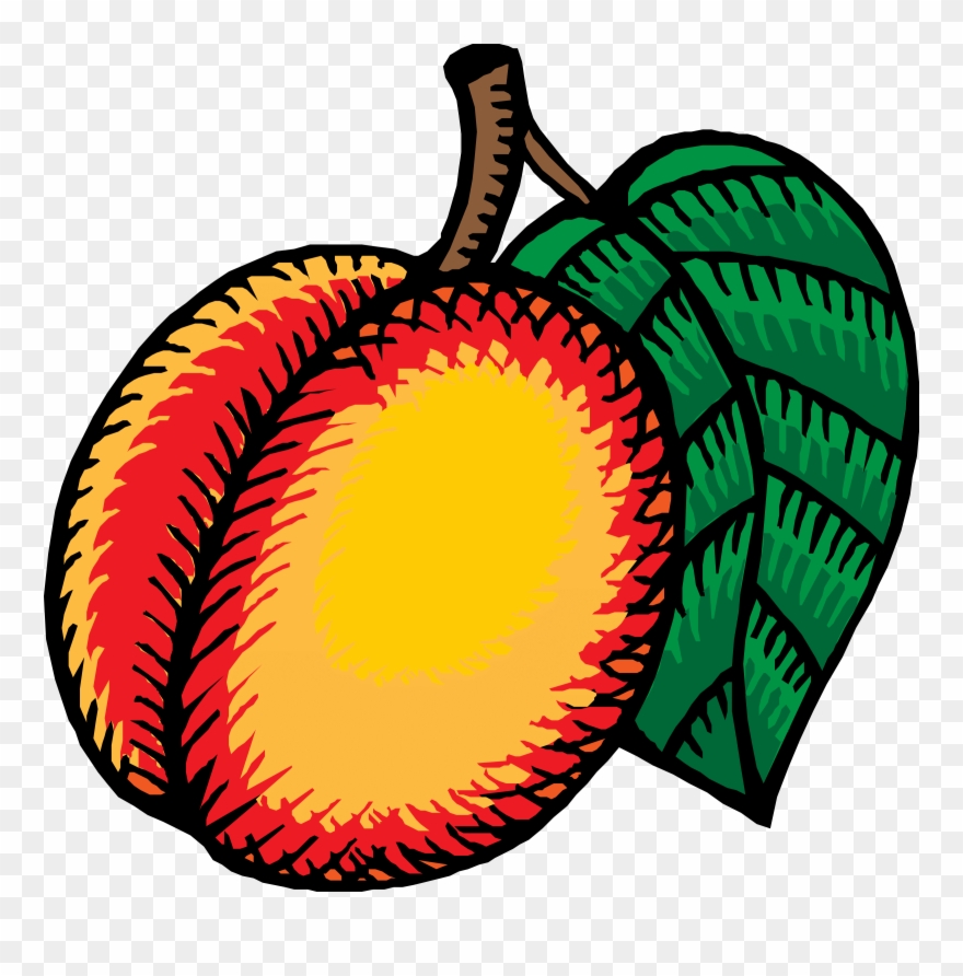 Border - Nectarine Clip Art - Png Download