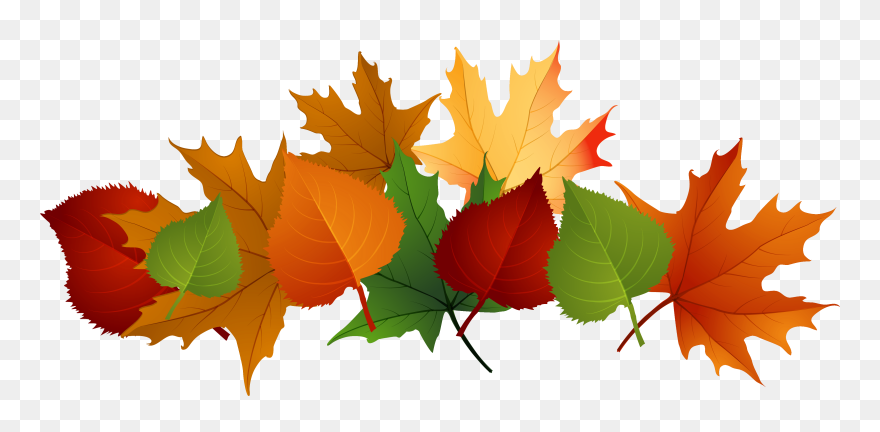 Pile Of Leaves Drawing At Getdrawings - Fall Leaves Transparent Background Clipart
