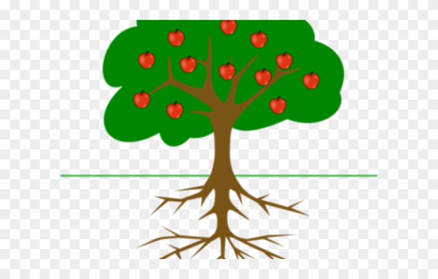 Roots Clipart Tree Trunk - Tree Drawing With Fruits - Png Download