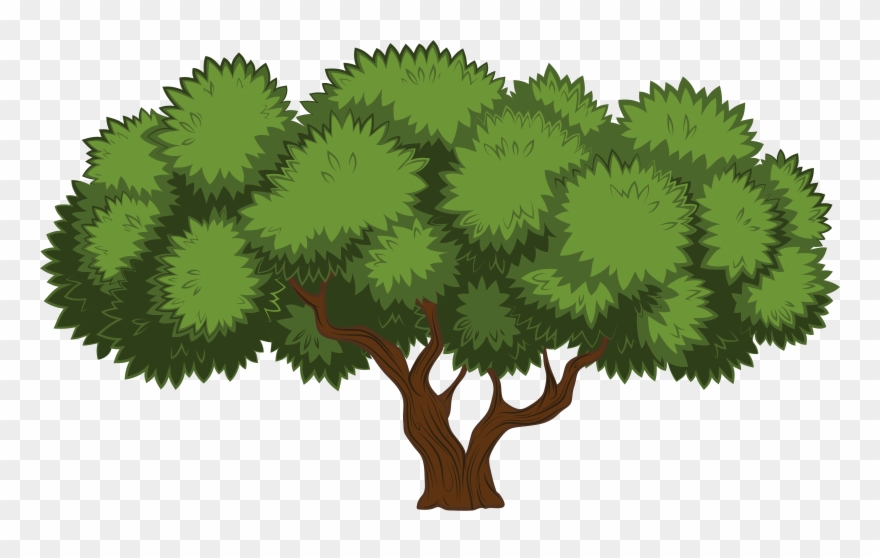 Www Clipart Tree - Tree Png Clip Art Transparent Png