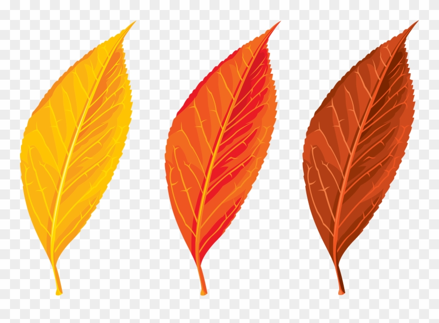 Autumn, Spring, Winter, Seasons, Leaf, Clip Art - Autumn Leaves Clip Art Png Transparent Png