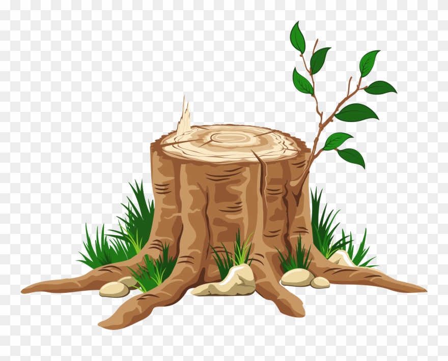 Jesse Tree Clipart