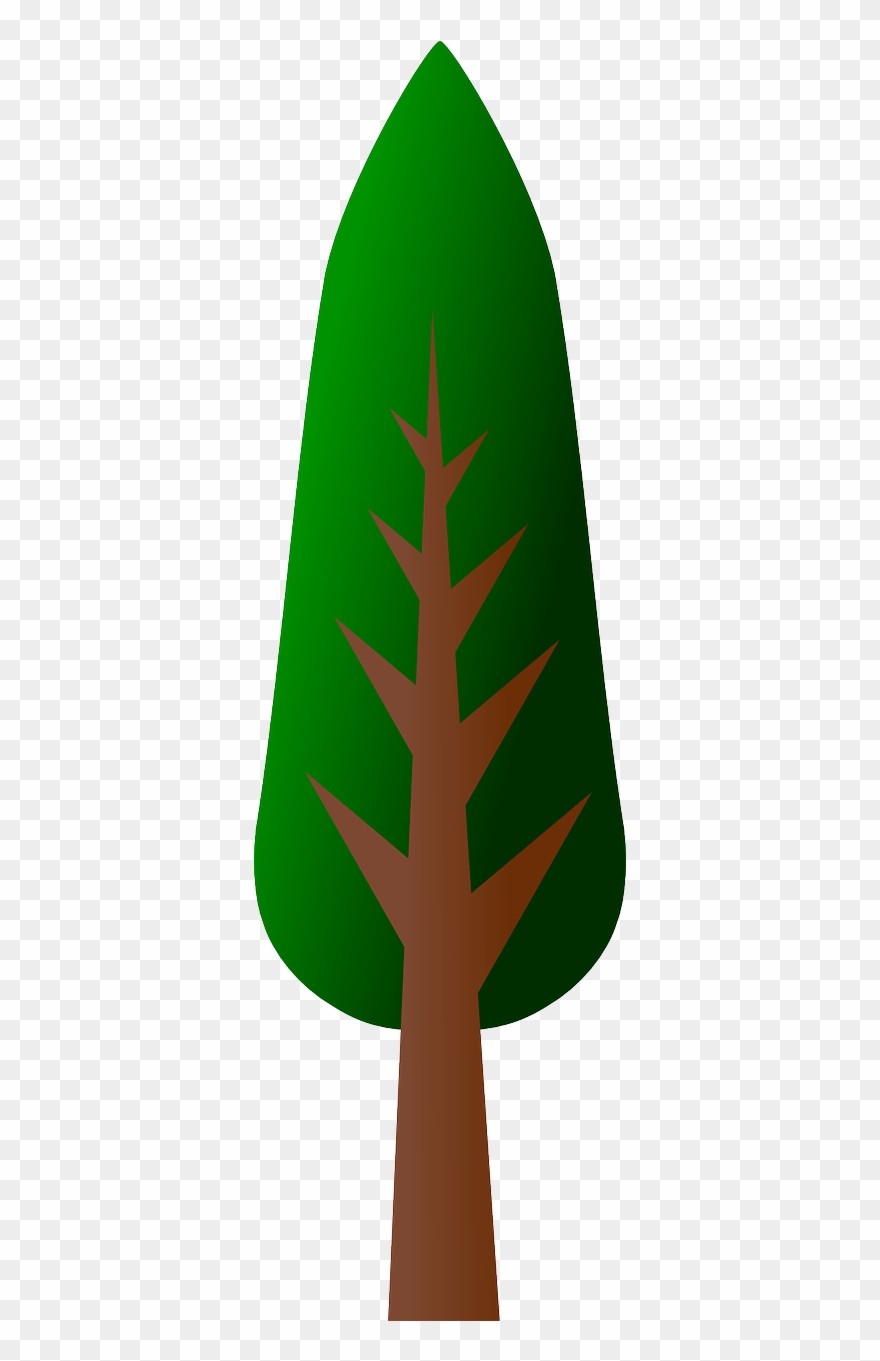 Tree Clip Art Vector Clip Art - Tall Clipart Tree - Png Download