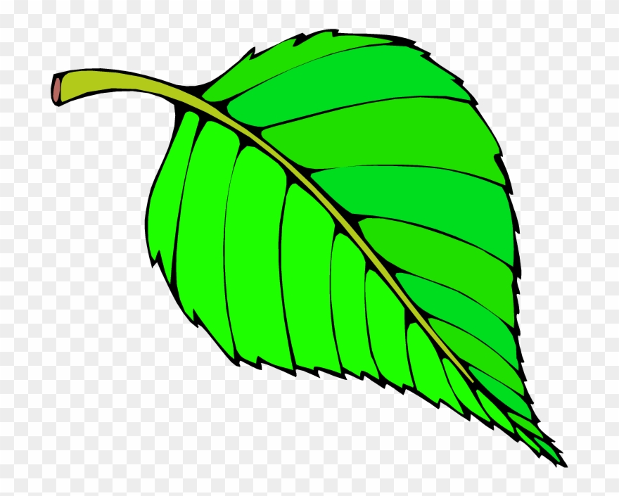 Big - Tree Paper Clip Art - Png Download