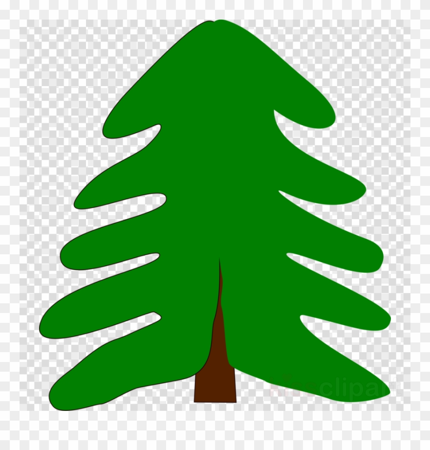 Pine Tree Cartoon Clipart Pine Clip Art - พื้น หลัง ทำ โลโก้ - Png Download