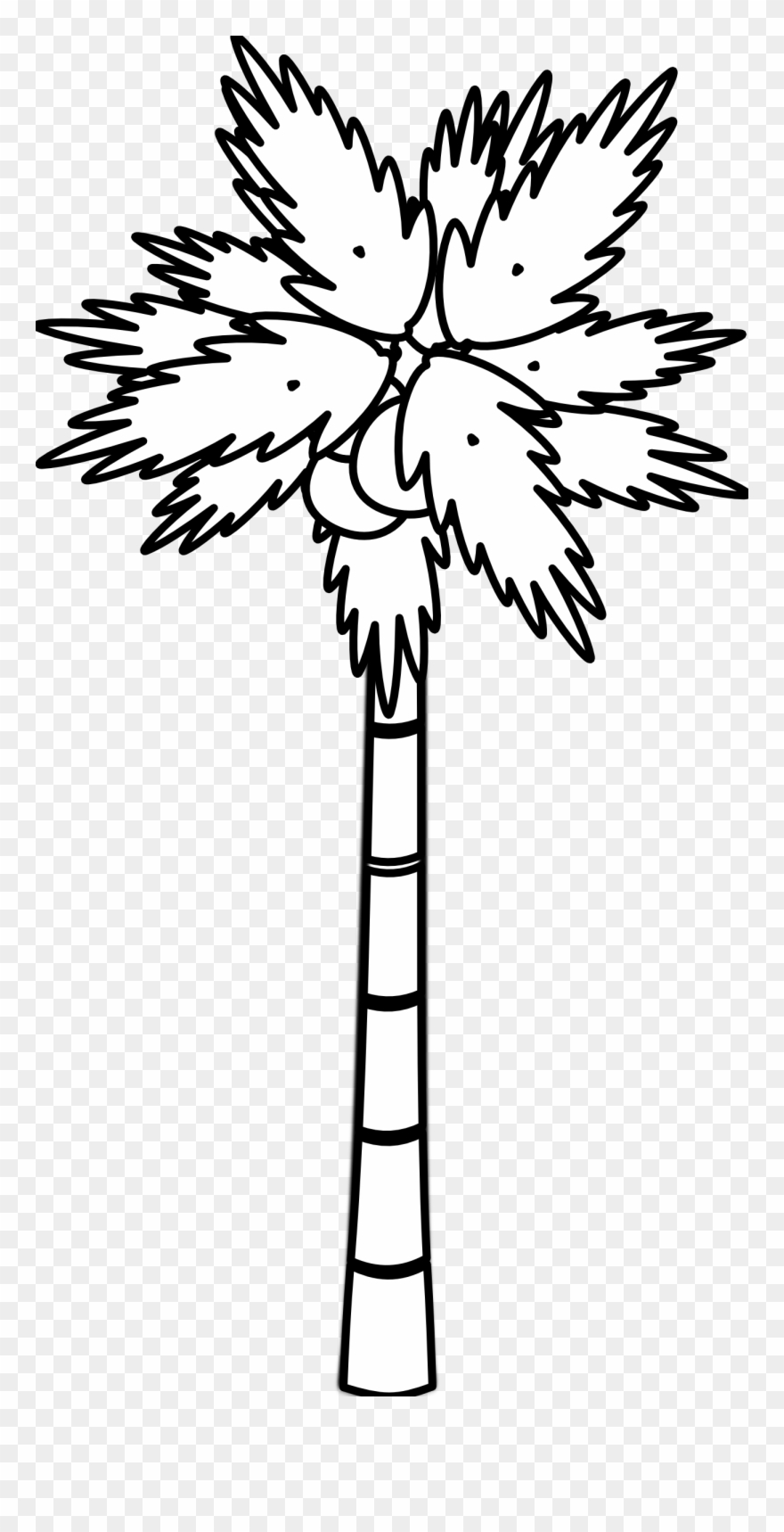 Images For Black And White Tree Drawings Images - Coconut Tree Black And White Clipart - Png Download