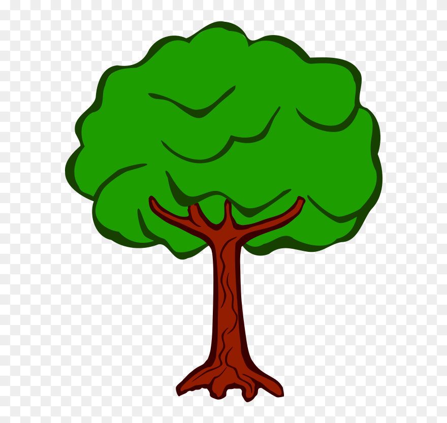 Tree Planting Color Wood Arecaceae - School Trees Clipart - Png Download
