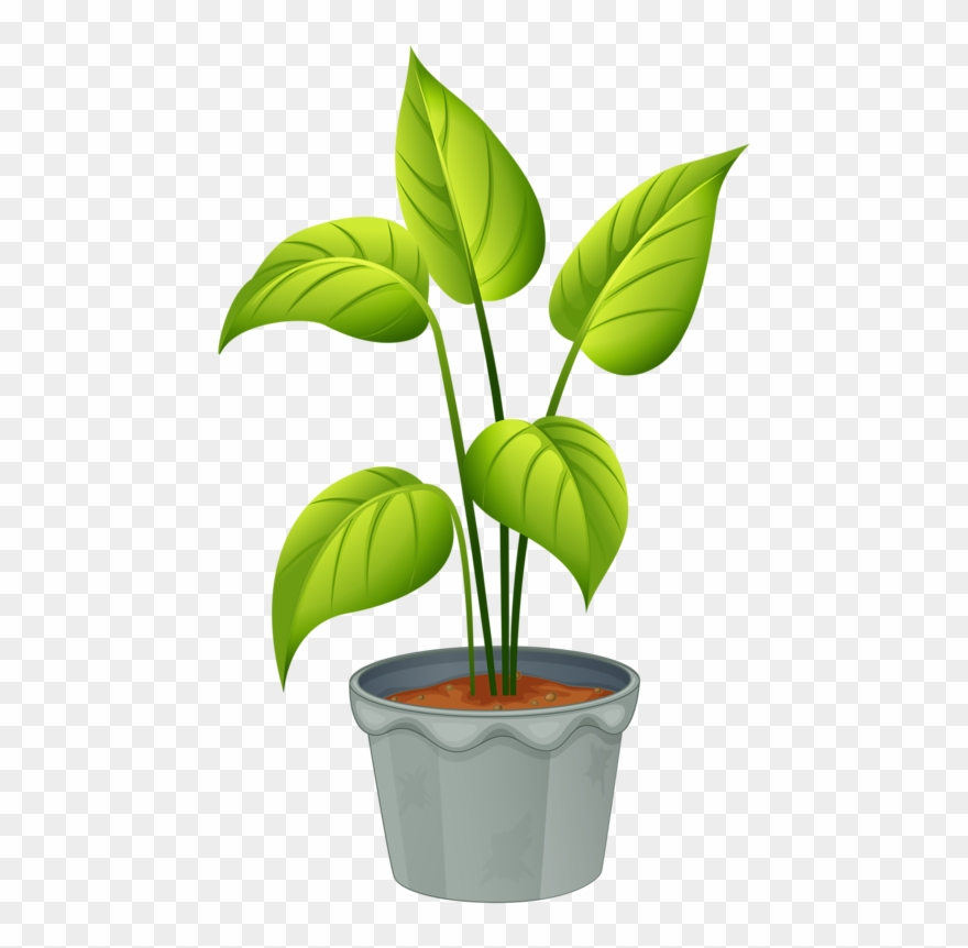 Green Home Plant - Flowering Plants And Non Flowering Plants Clipart