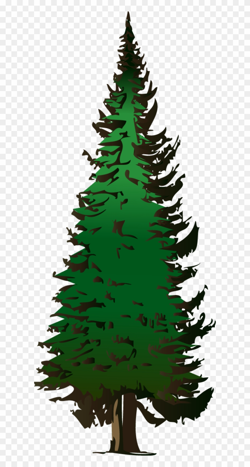 Pine Tree Vector Free Download - Pine Tree Clipart Png Transparent Png