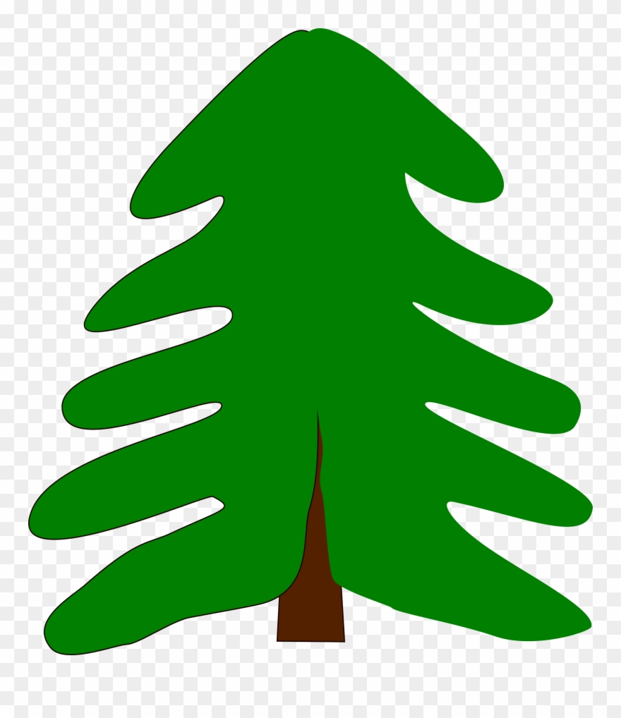 Cartoon Evergreen Tree Png Clipart