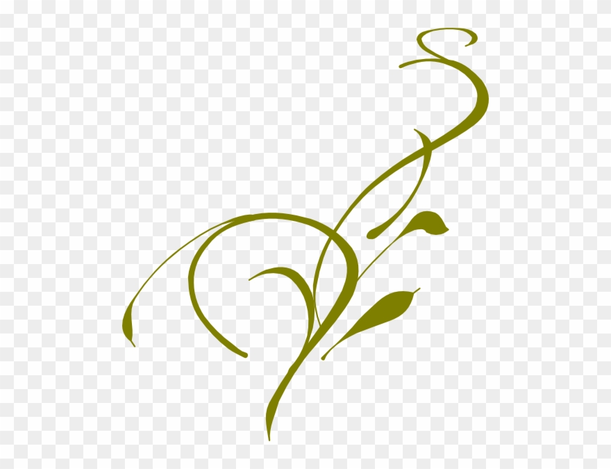 Olive Tree Branch Clip Art Vector Online Royalty Free - Vine Clip Art - Png Download