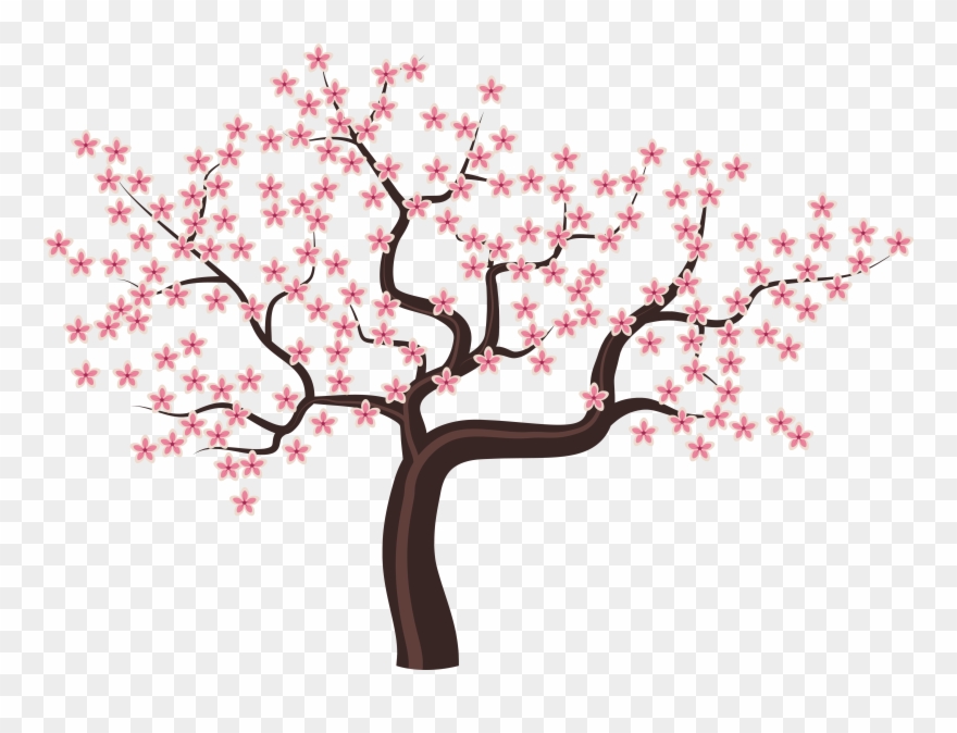Tree - Bunga Sakura No Background Clipart