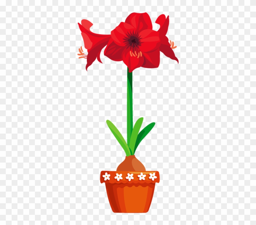 Flower Clipart - Amaryllis Clip Art - Png Download