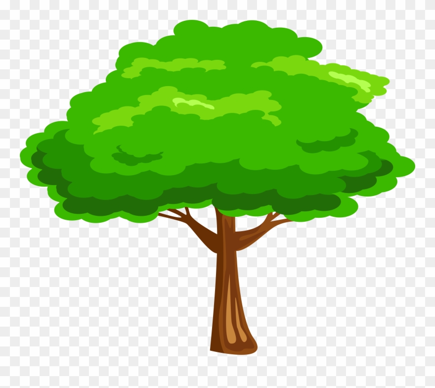 Leaves Clipart Mango Tree - Clipart Tree Png Transparent Png