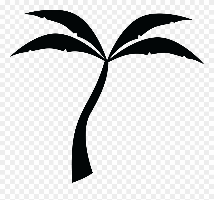 Free Clipart Of A Palm Tree - Transparent Background Free Palm Tree Clipart - Png Download