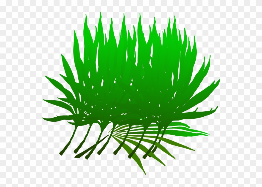 Sunday Branch Clip Art At Clker Com - Palm Frond Clip Art - Png Download